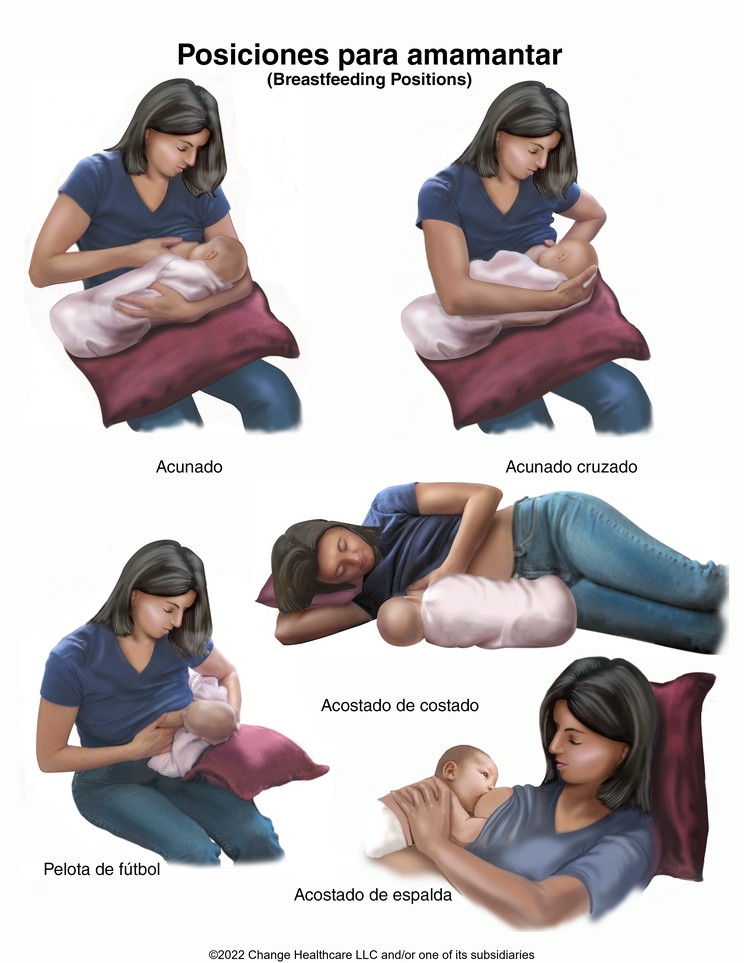 Breastfeeding Positions: Illustration
