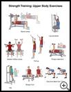 Thumbnail image of: Strength Training: Upper Body Exercises: Illustration
