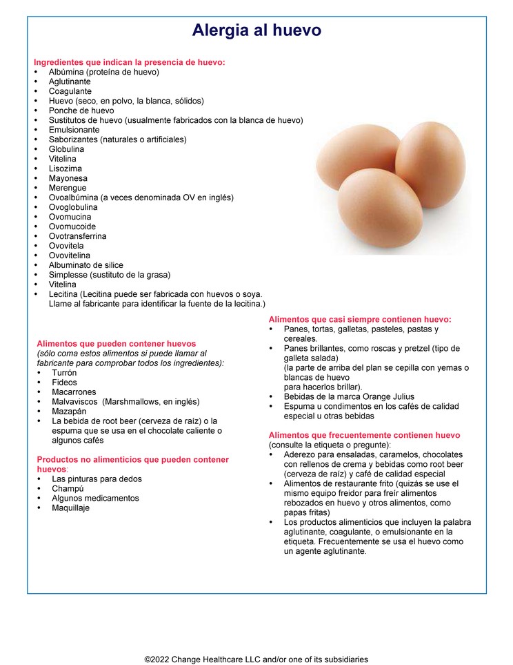 Egg Allergy: Illustration