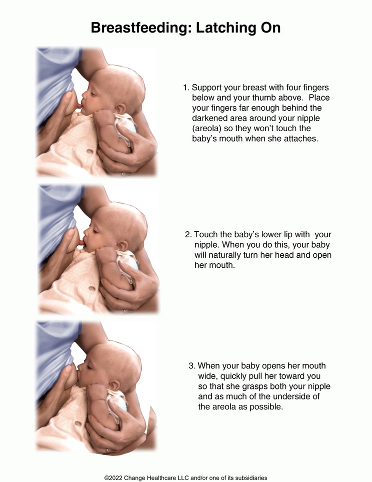 Breastfeeding, Latching on: Illustration