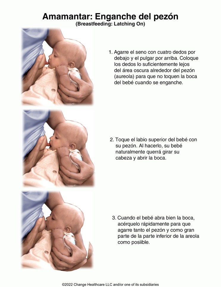 Breastfeeding, Latching on: Illustration
