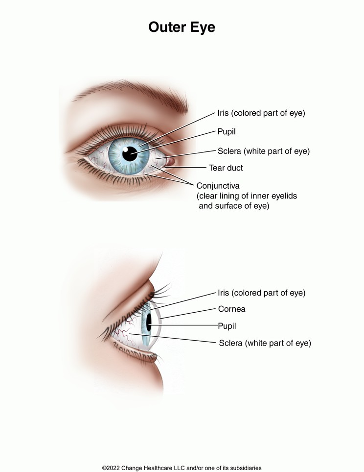 Outer Eye: Illustration