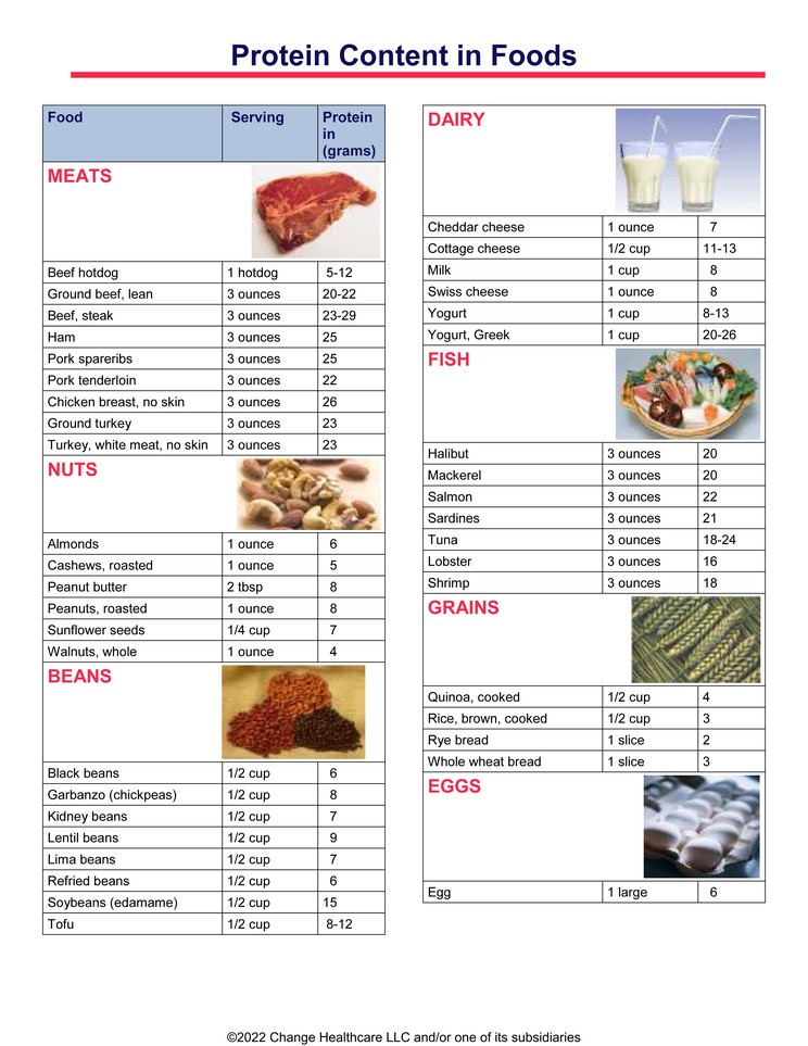 Protein Content in Foods: Illustration