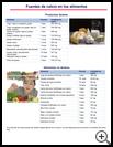 Thumbnail image of: Sources of Calcium in Foods: Illustration