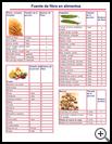 Thumbnail image of: Sources of Fiber in Foods: Illustration