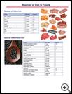 Thumbnail image of: Sources of Iron in Foods: Illustration