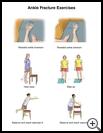 Thumbnail image of: Ankle Fracture Exercises: Illustration, page 2