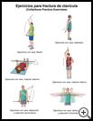 Thumbnail image of: Collarbone Fracture Exercises: Illustration, page 1