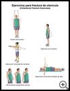Thumbnail image of: Collarbone Fracture Exercises: Illustration, page 2