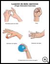 Thumbnail image of: Finger Dislocation Exercises: Illustration