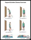 Thumbnail image of: Osgood-Schlatter Disease Exercises: Illustration, page 2