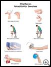 Thumbnail image of: Wrist Sprain Exercises: Illustration