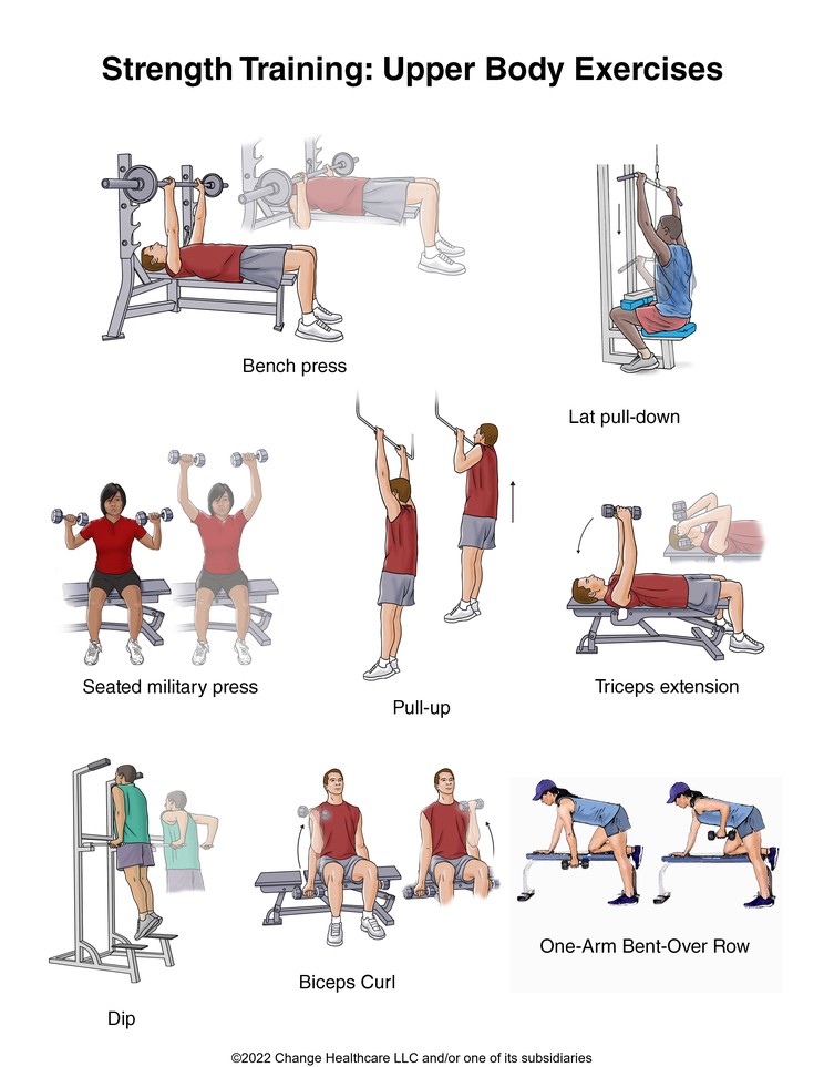 Strength Training: Upper Body Exercises: Illustration